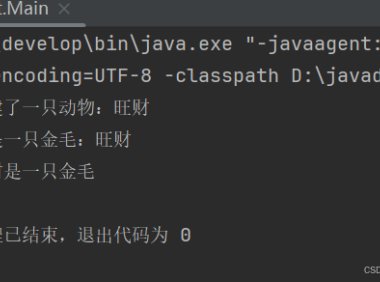 Java 中的 super 关键字用法指南